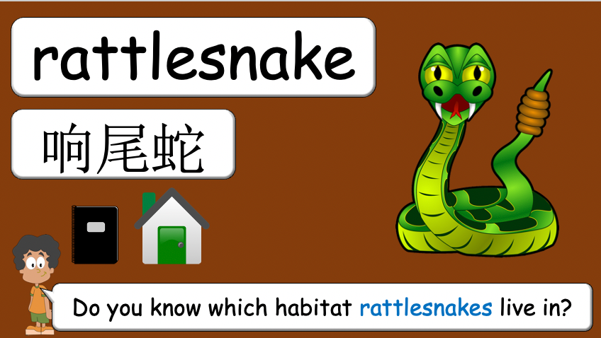 Grade 3-4 - ESL Lesson - Habitats and Wild Animals - Part 2