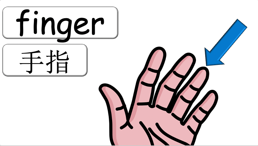 Grade 2-3 - ESL Lesson - Body Parts / Adjectives - PowerPoint Lesson