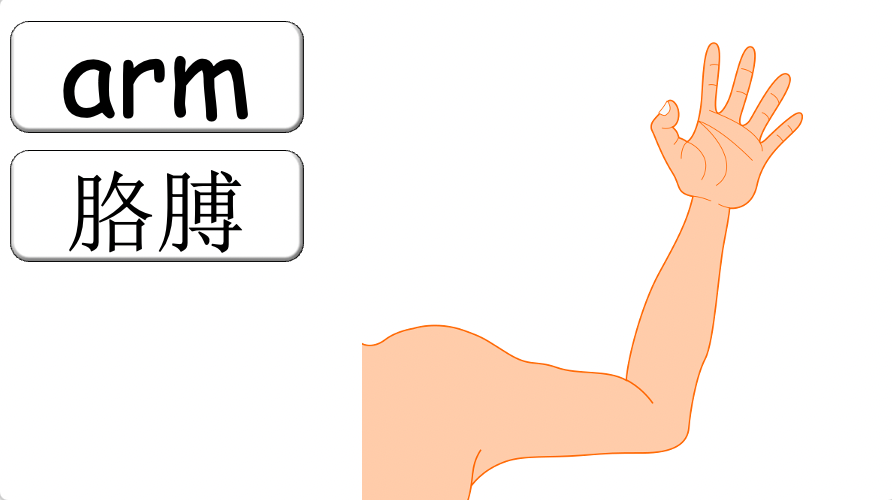 Grade 2-3 - ESL Lesson - Body Parts / Adjectives - PowerPoint Lesson