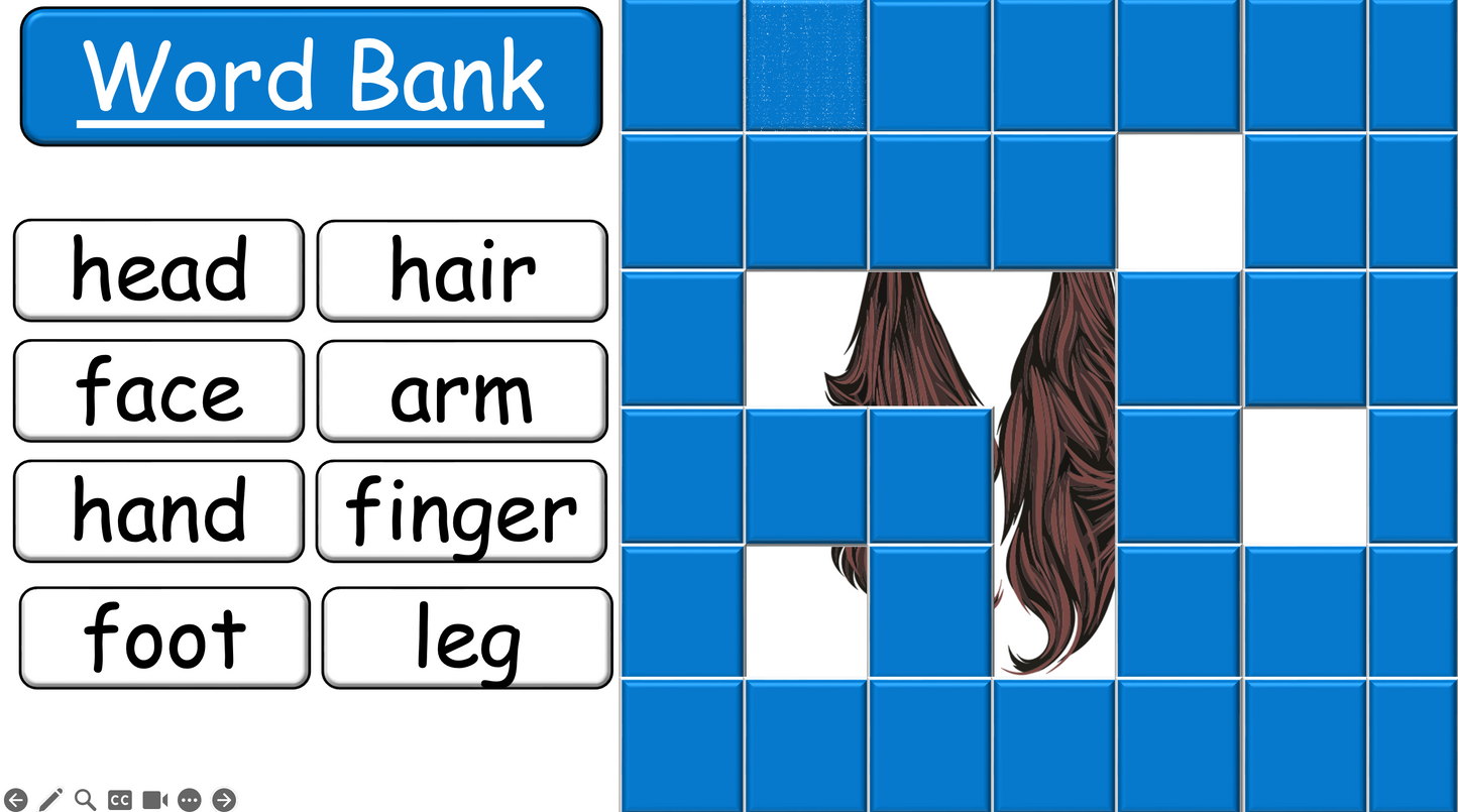 Grade 2-3 - ESL Lesson - Body Parts / Adjectives - PowerPoint Lesson