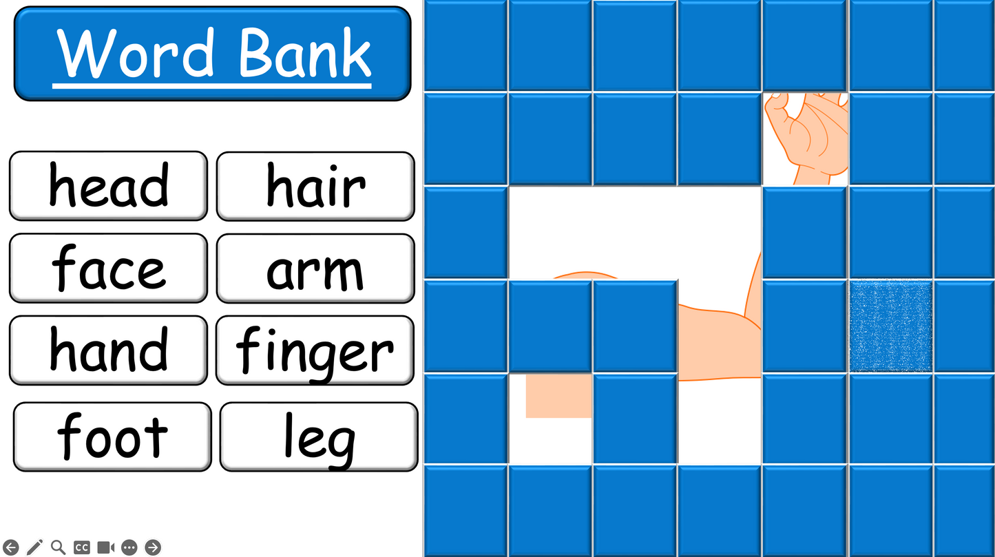 Grade 2-3 - ESL Lesson - Body Parts / Adjectives - PowerPoint Lesson