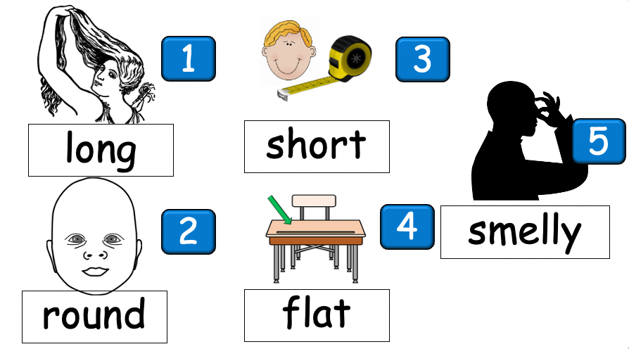 Grade 2-3 - ESL Lesson - Body Parts / Adjectives - PowerPoint Lesson