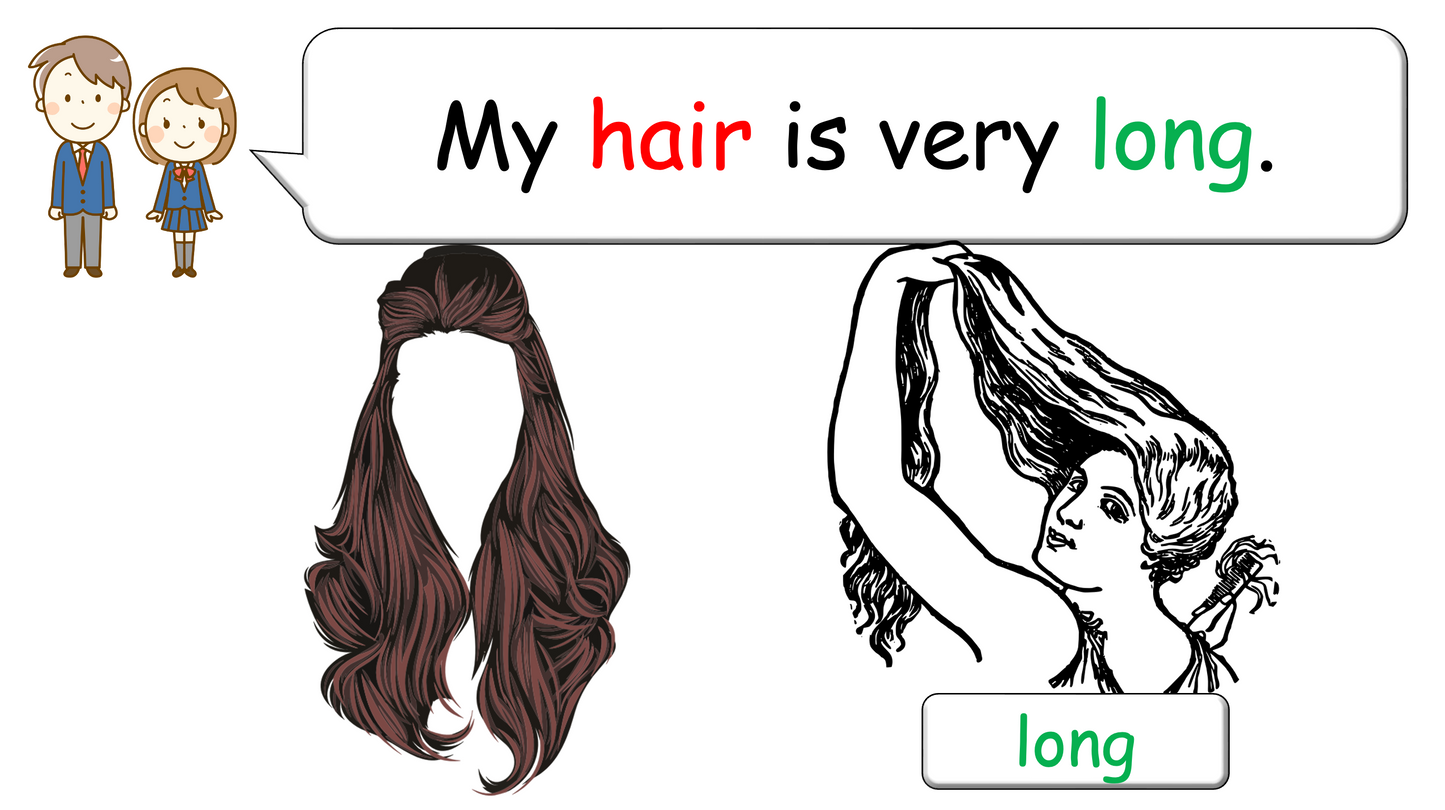 Grade 2-3 - ESL Lesson - Body Parts / Adjectives - PowerPoint Lesson