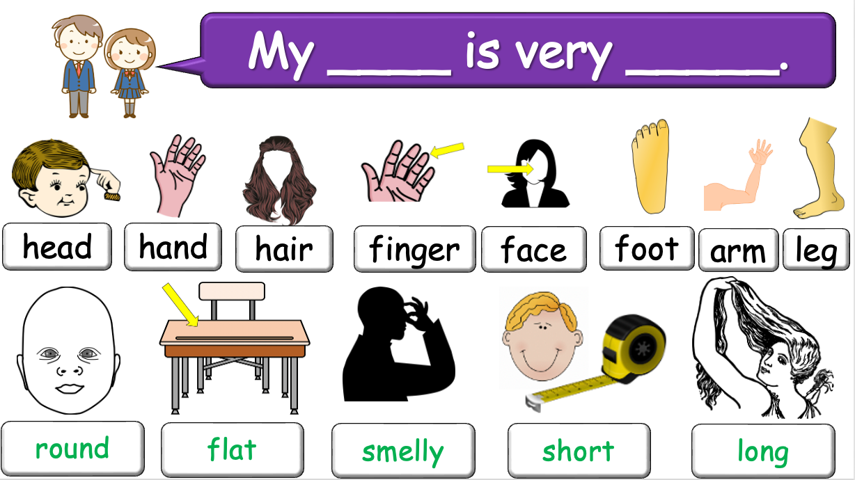 Grade 2-3 - ESL Lesson - Body Parts / Adjectives - PowerPoint Lesson