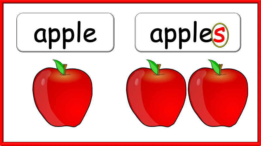 Grade 1-2 - ESL Lesson - How many? / Fruit and Plurals - PowerPoint Lesson