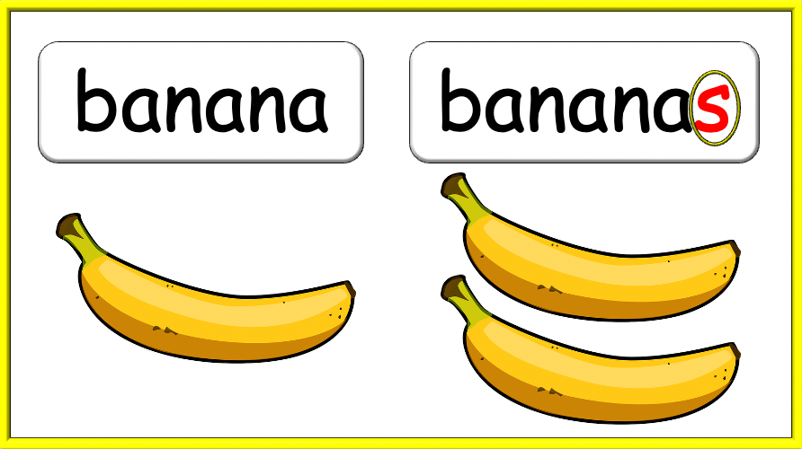 Grade 1-2 - ESL Lesson - How many? / Fruit and Plurals - PowerPoint Lesson