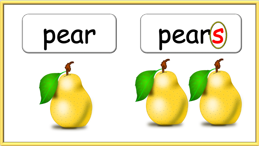 Grade 1-2 - ESL Lesson - How many? / Fruit and Plurals - PowerPoint Lesson