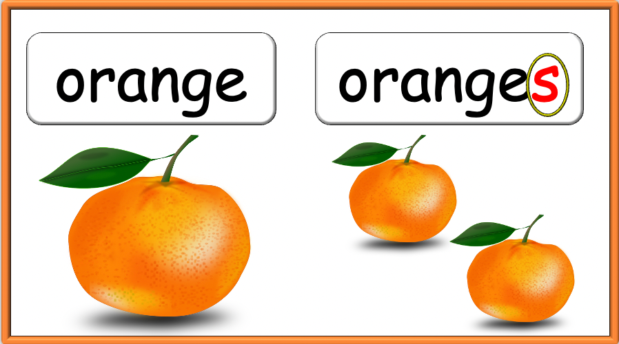 Grade 1-2 - ESL Lesson - How many? / Fruit and Plurals - PowerPoint Lesson