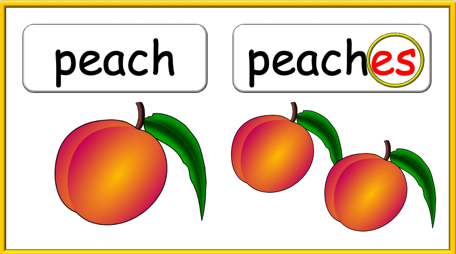 Grade 1-2 - ESL Lesson - How many? / Fruit and Plurals - PowerPoint Lesson