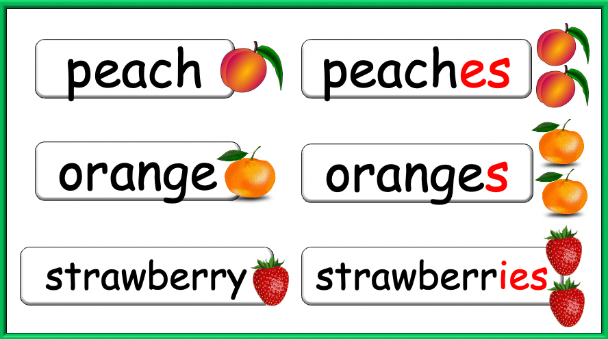 Grade 1-2 - ESL Lesson - How many? / Fruit and Plurals - PowerPoint Lesson